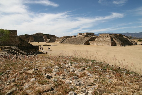 Monte Albán 415