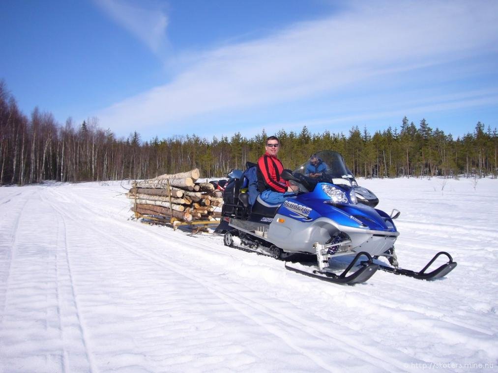 2008 - Två Grizzly på Mjöträskberget 19 april