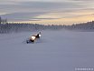 2011 - Friluftsdag 8 jan