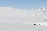 2011 - Vaimok 13 april
