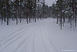 2012 - Premiär 18 jan