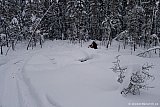 2012 - Premiär 18 jan
