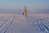 2012 - Luleå 11-12 feb