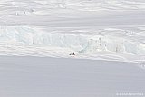 2012 - Sulitelmaglaciären och Vaimok 9/4