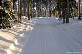 2013 - Sunderbyn 19 jan