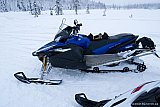 2014 - Två Apex i Kronogård 6 jan