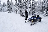 2014 - Två Apex i Kronogård 6 jan