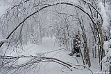 2014 - Ledröjning 2 feb